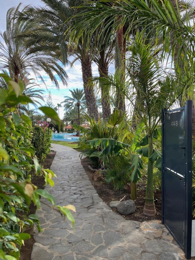 Sun Club Luxus Bungalow Projecto 65 ماسبالوماس المظهر الخارجي الصورة