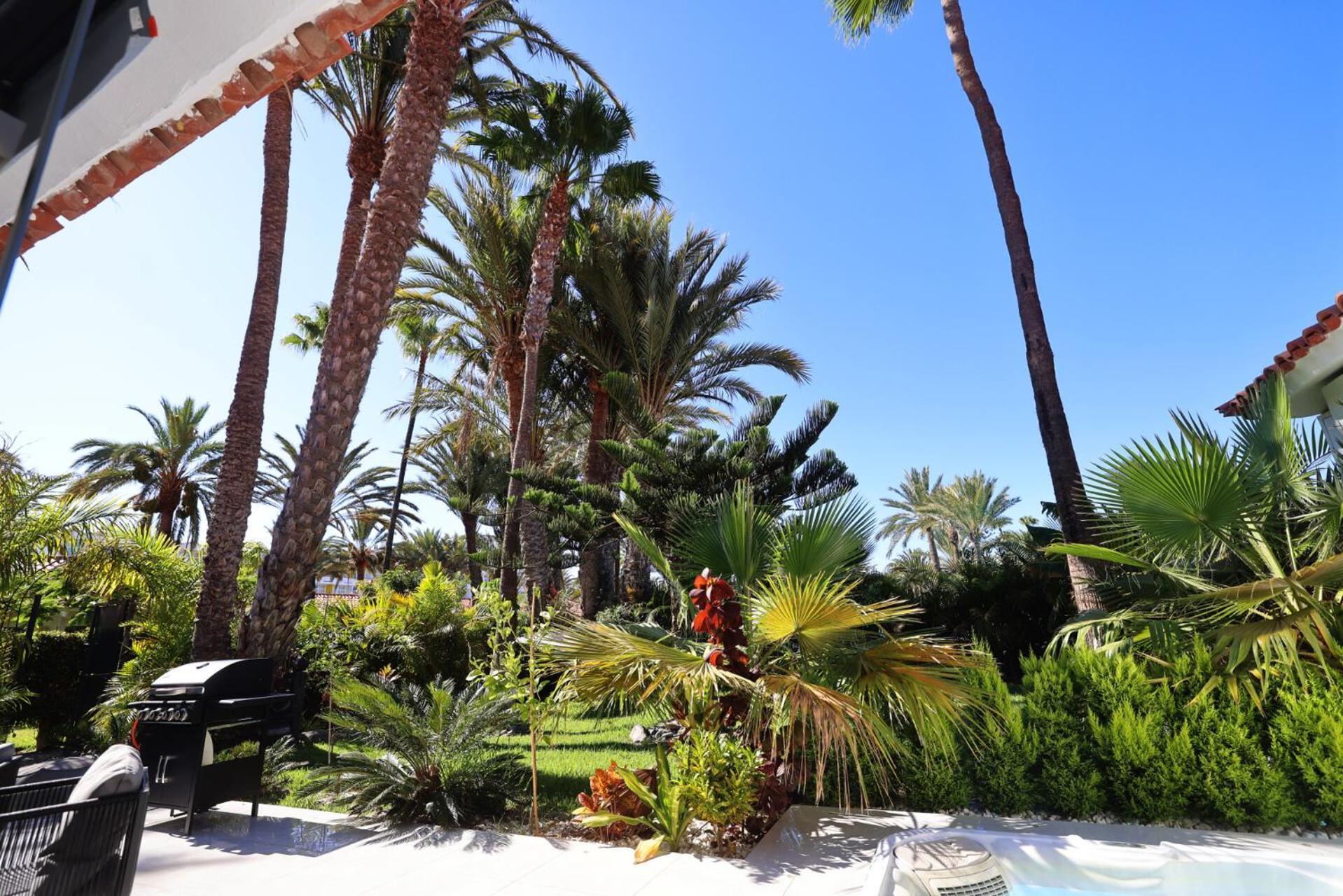 Sun Club Luxus Bungalow Projecto 65 ماسبالوماس المظهر الخارجي الصورة