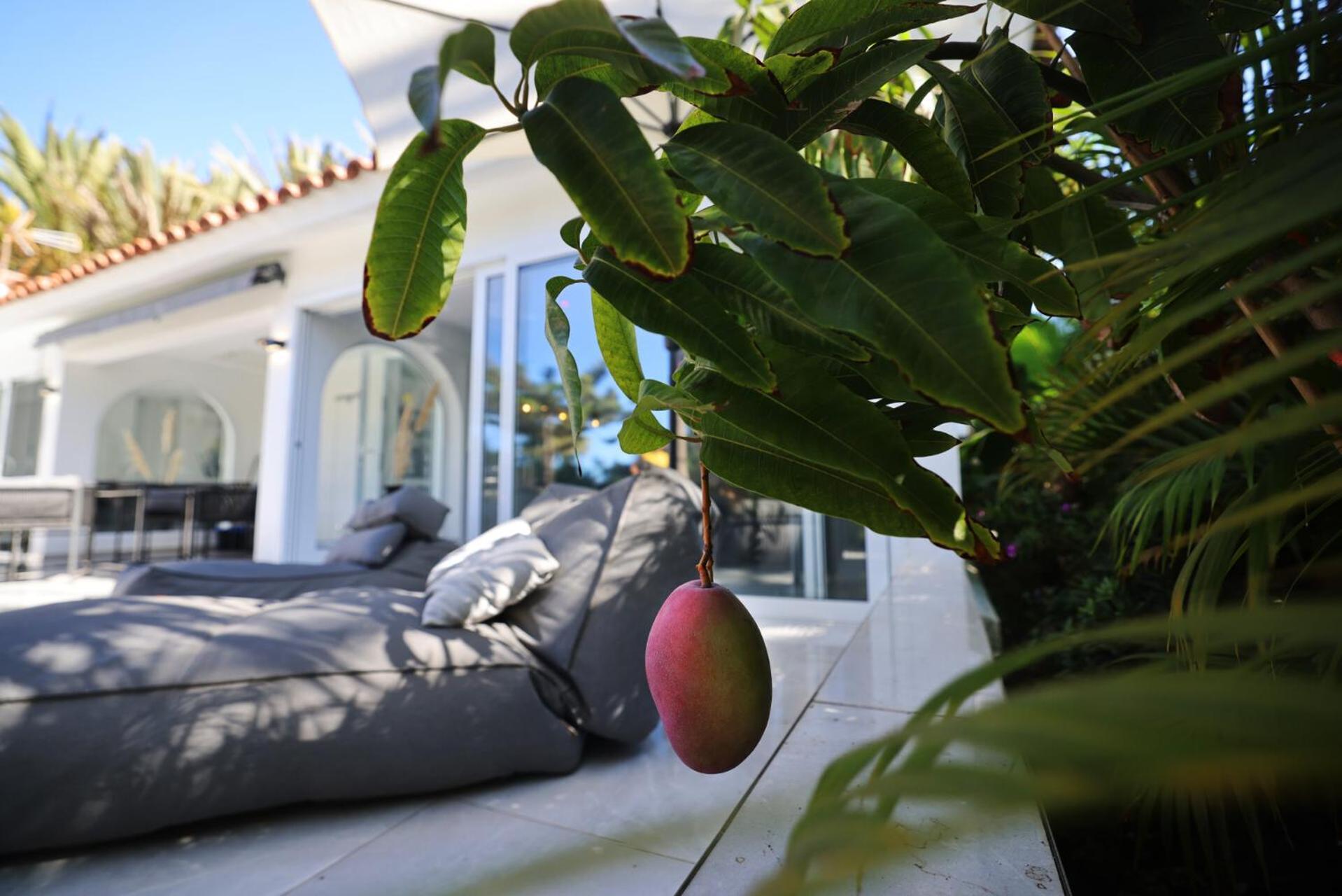 Sun Club Luxus Bungalow Projecto 65 ماسبالوماس المظهر الخارجي الصورة