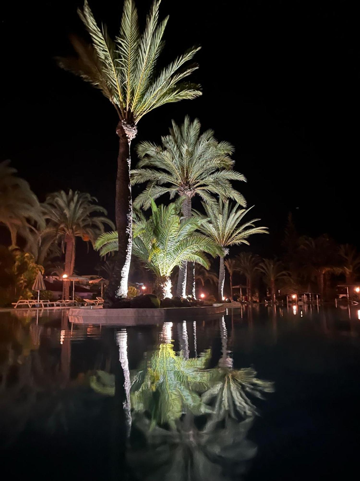 Sun Club Luxus Bungalow Projecto 65 ماسبالوماس المظهر الخارجي الصورة